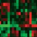 Microarray Data Analysis of Mouse Neoplasia