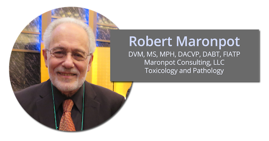 Robert Maronpot toxicologic pathology
